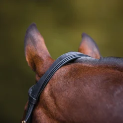 Joseph Sterling Show Hack Bridle For Horses 15 Joseph Sterling Show Hack Bridle For Horses -Schneiders Shop 32979 alt d