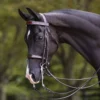 Joseph Sterling® English Show Bridle -Schneiders Shop 33378