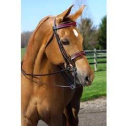 Joseph Sterling® English Show Bridle -Schneiders Shop 33378 alt b