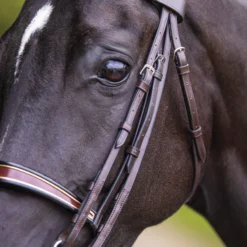Joseph Sterling® English Show Bridle -Schneiders Shop 33378 alt b