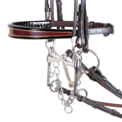 Joseph Sterling® English Show Bridle -Schneiders Shop 33378 alt e