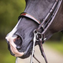 Joseph Sterling® English Show Bridle -Schneiders Shop 33378 alt g