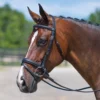 Premier® Premier Dressage Snaffle Bridle With Crank 1 Premier® Premier Dressage Snaffle Bridle With Crank -Schneiders Shop 33473