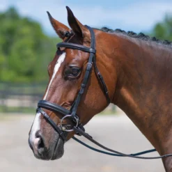 Premier® Premier Dressage Snaffle Bridle With Crank