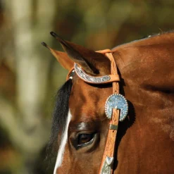 Double S Two Ear Silver Plate Headstall -Schneiders Shop 34152 alt b