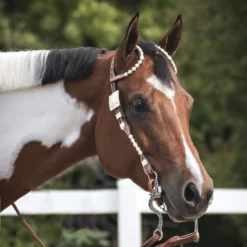 Billy Royal® California Classic Two Ear Headstall