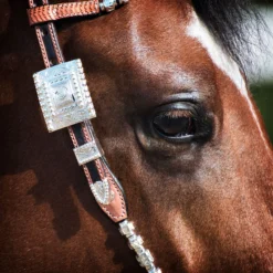 Billy Royal® California Classic Two Ear Headstall -Schneiders Shop 34205 alt b