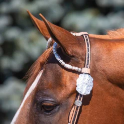 Billy Royal Crystal With Oval Scroll Two Ear Headstall -Schneiders Shop 34207 alt c