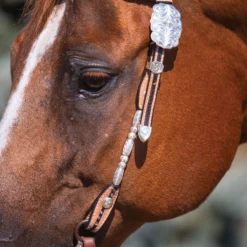 Billy Royal Crystal With Oval Scroll Two Ear Headstall -Schneiders Shop 34207 alt e