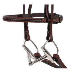 Pinnacle Raised Braided Hunter Bridle -Schneiders Shop 35077 alt e