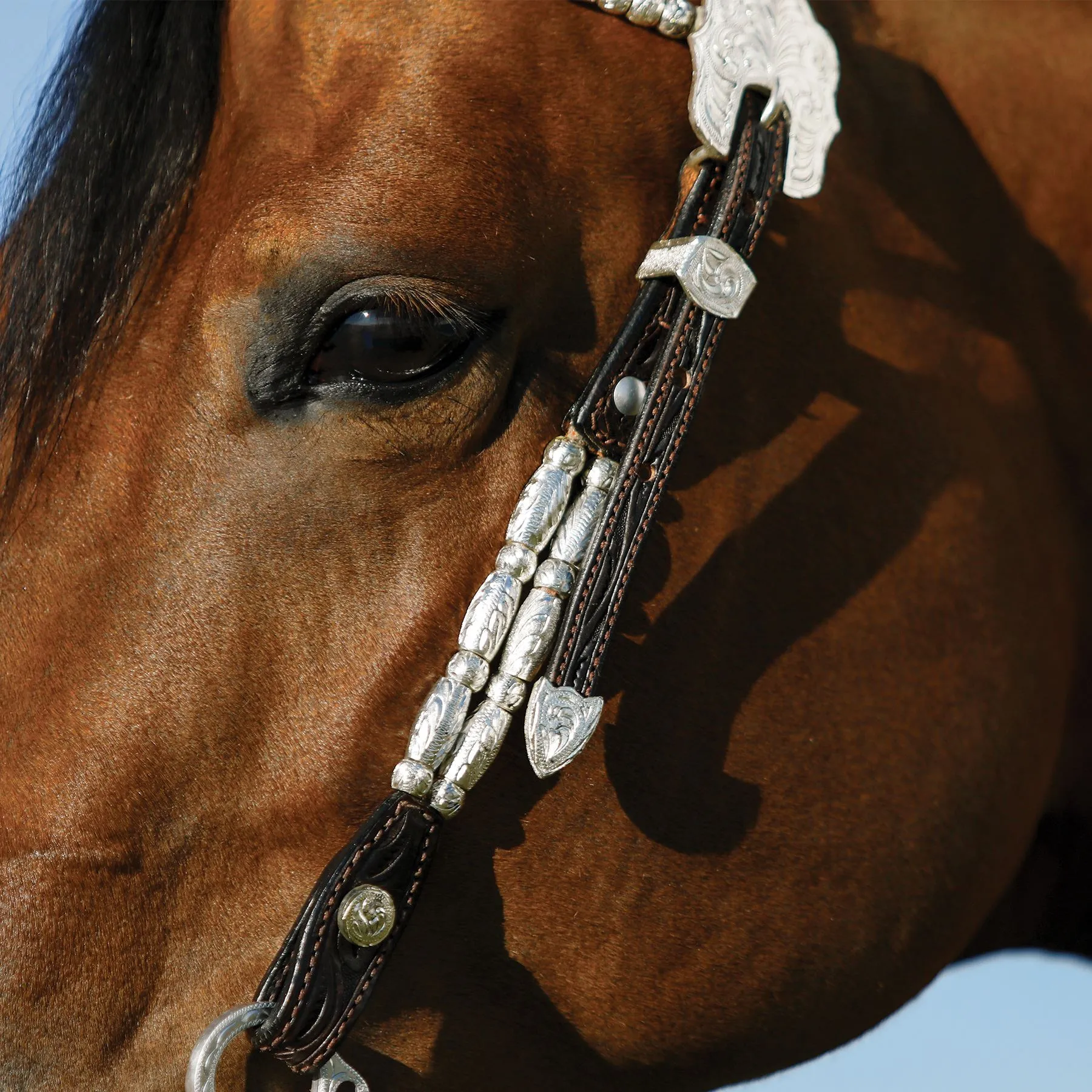 Double S Double Ferrule Bridle 6 Double S Double Ferrule Bridle - Image 4