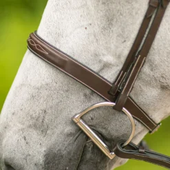 Joseph Sterling® Hartford Hunter Bridle -Schneiders Shop 37512 alt c