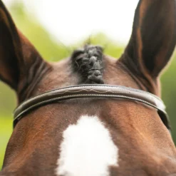 Pinnacle Hartford Hunter Bridle -Schneiders Shop 37513 alt b