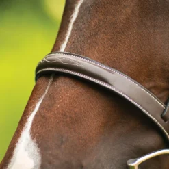 Pinnacle Hartford Hunter Bridle -Schneiders Shop 37513 alt d