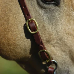Billy Royal® Rolled One Ear Headstall With Buckle End 7 Billy Royal® Rolled One Ear Headstall With Buckle End -Schneiders Shop 40028 alt b