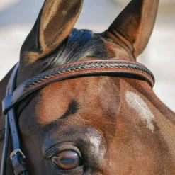 Joseph Sterling® Braided Hunter Bridle With Drawtite Caveson 16 Joseph Sterling® Braided Hunter Bridle With Drawtite Caveson -Schneiders Shop 40476 alt b