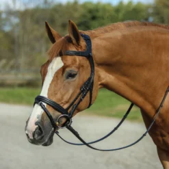 Stubben Freedom English Bridle