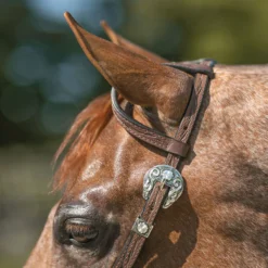 Billy Royal® Drover Ranch Western Headstall -Schneiders Shop 40648 alt c