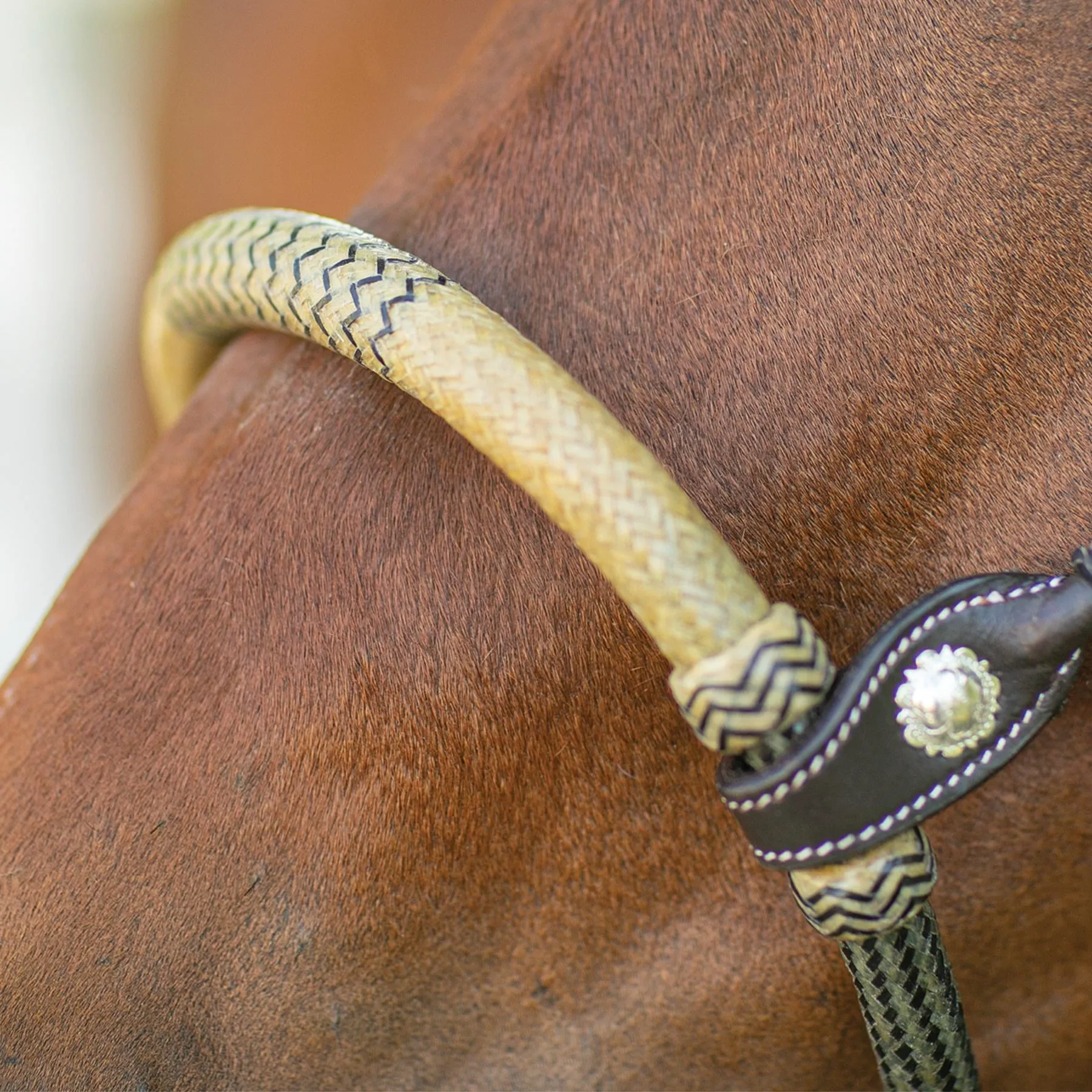 Double S Rawhide Bosal 5 Double S Rawhide Bosal - Image 3