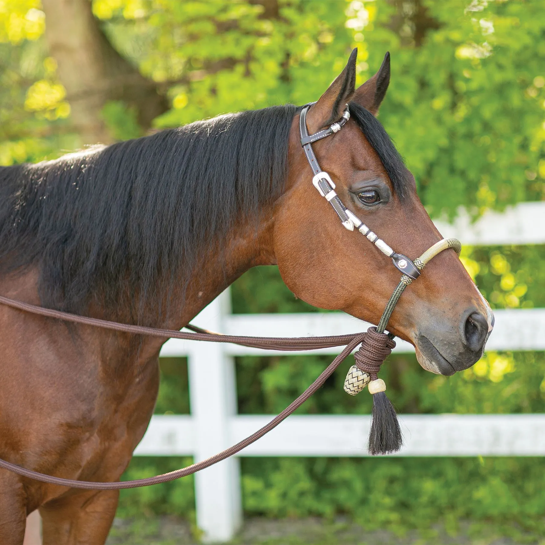 Double S Rawhide Bosal 7 Double S Rawhide Bosal - Image 5