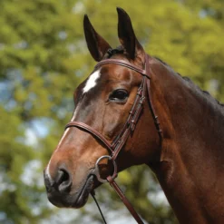 Kincade® Raised Fancy Stitched Bridle