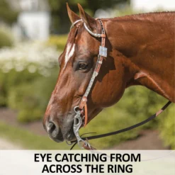 Schneiders Shop -Schneiders Shop 40824 feature a overlay