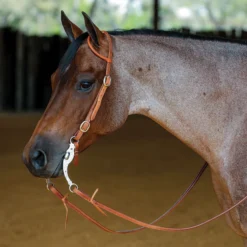 Double S Latigo Lined Rolled One Ear Headstall With Buckles