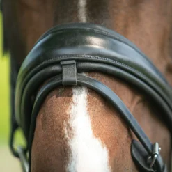 Joseph Sterling® Comfort Plus® Dressage Bridle -Schneiders Shop 40917 alt c