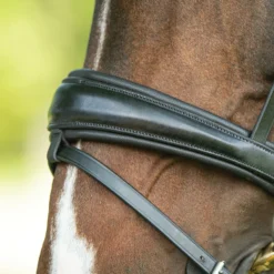 Joseph Sterling® Comfort Plus® Dressage Bridle -Schneiders Shop 40917 alt d