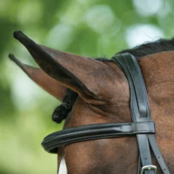 Joseph Sterling® Comfort Plus® Dressage Bridle -Schneiders Shop 40917 alt e