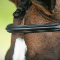 Joseph Sterling® Comfort Plus® Dressage Bridle -Schneiders Shop 40917 alt f