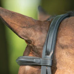 Joseph Sterling® Comfort Plus® Dressage Bridle -Schneiders Shop 40917 alt i