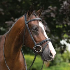 Pinnacle Comfort Plus® Dressage Bridle