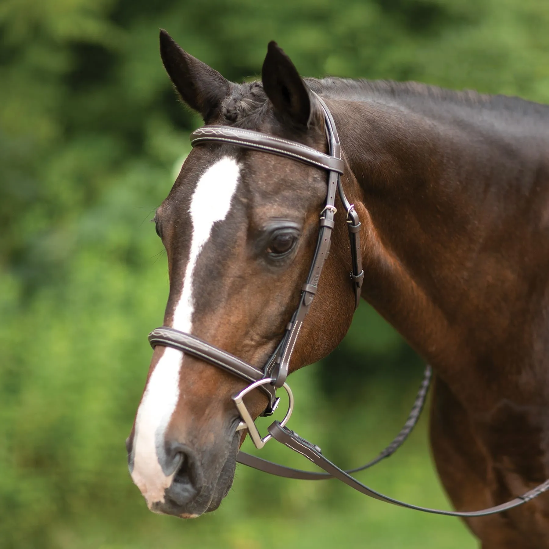 Pinnacle Comfort Plus® Hunter Bridle 3 Pinnacle Comfort Plus® Hunter Bridle