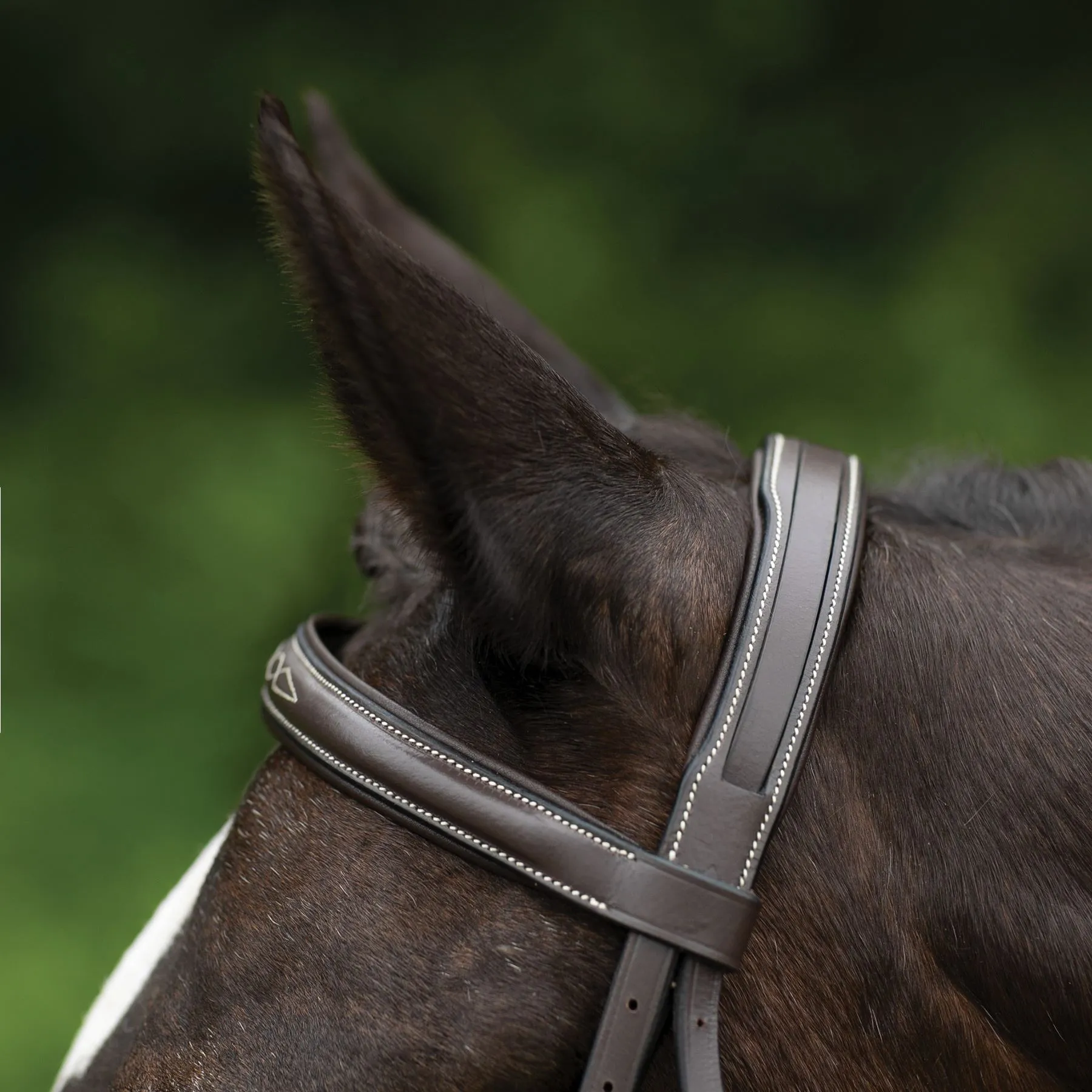 Pinnacle Comfort Plus® Hunter Bridle 5 Pinnacle Comfort Plus® Hunter Bridle - Image 3