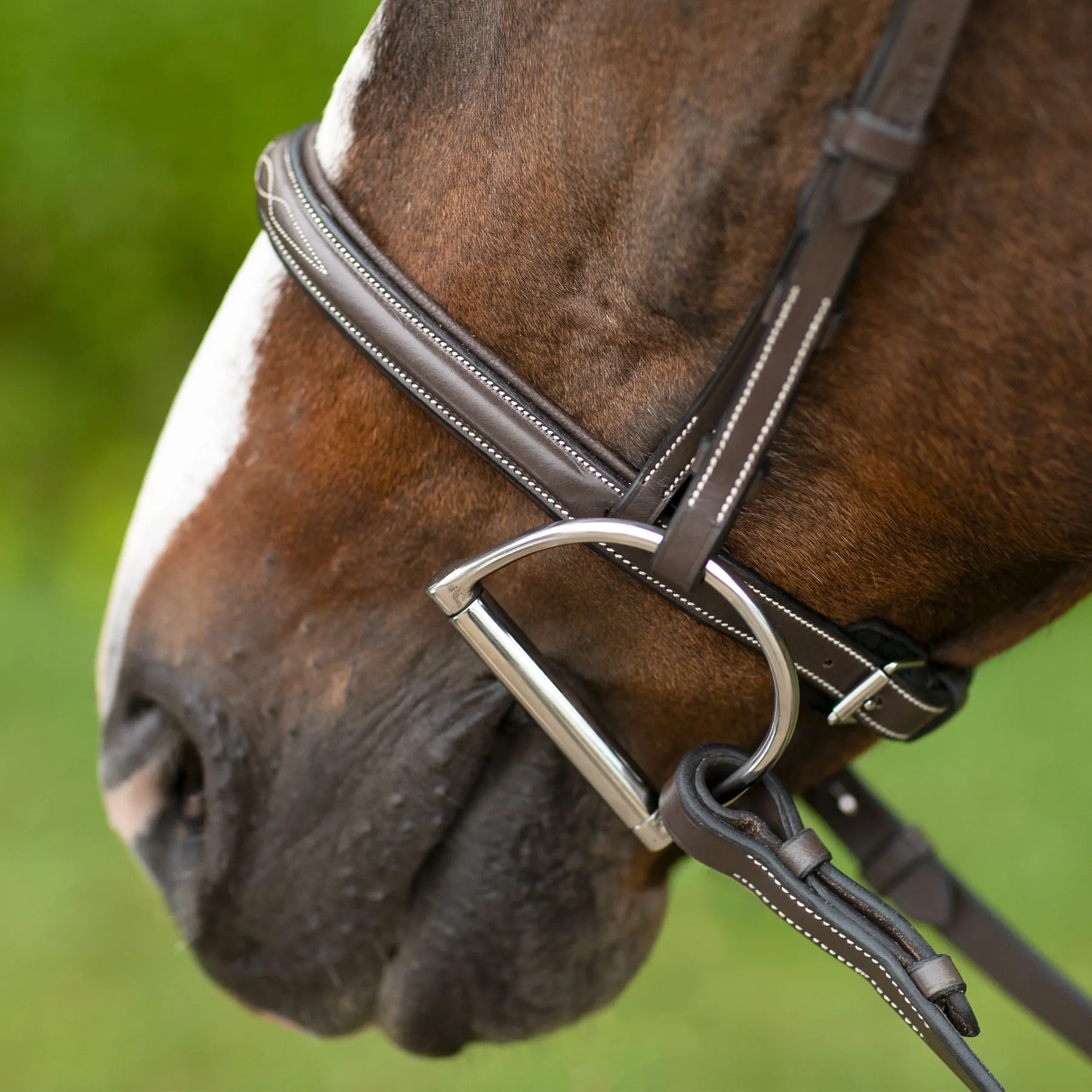 Pinnacle Comfort Plus® Hunter Bridle 10 Pinnacle Comfort Plus® Hunter Bridle - Image 8