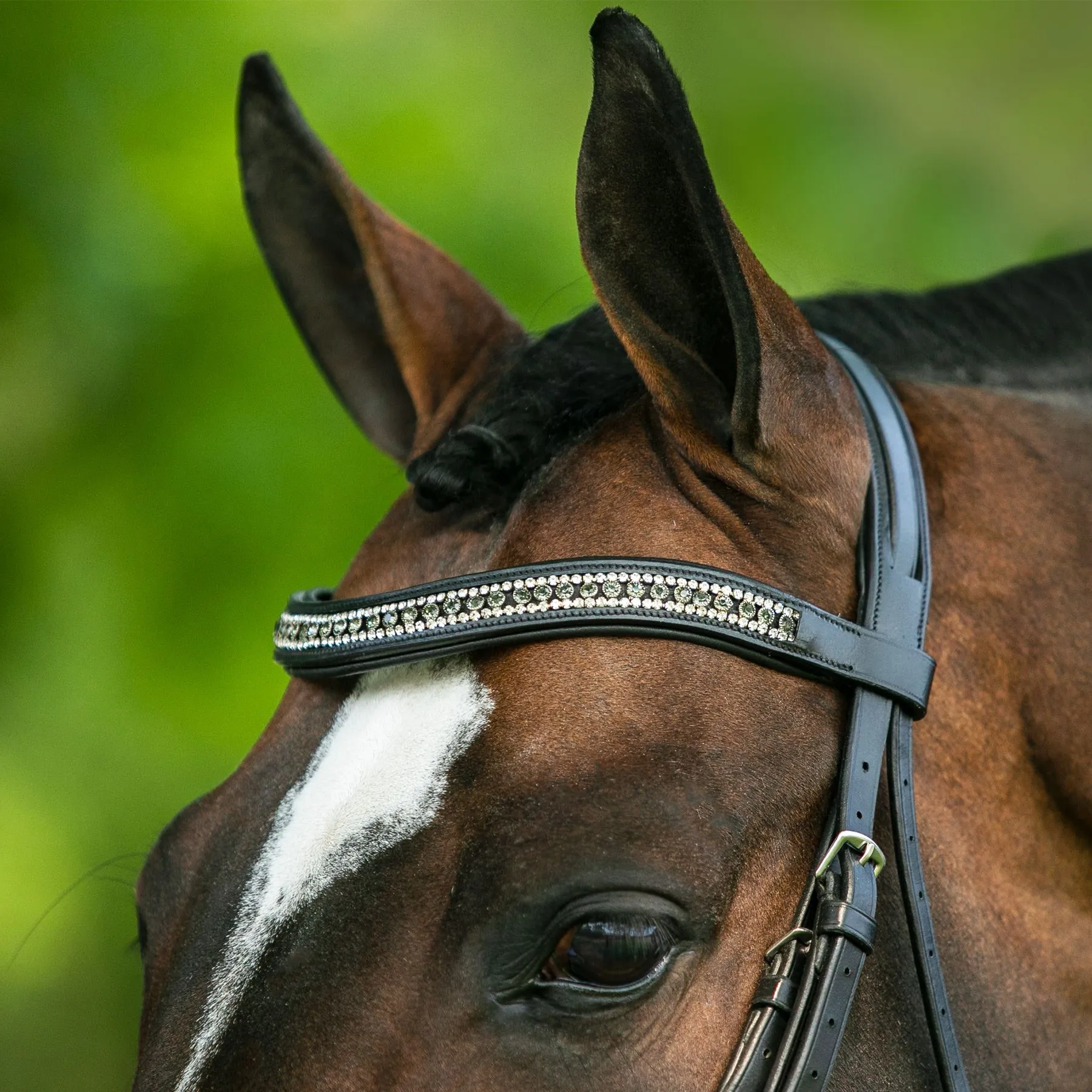 Joseph Sterling® Regal Padded Curved Crystal Browband 3 Joseph Sterling® Regal Padded Curved Crystal Browband