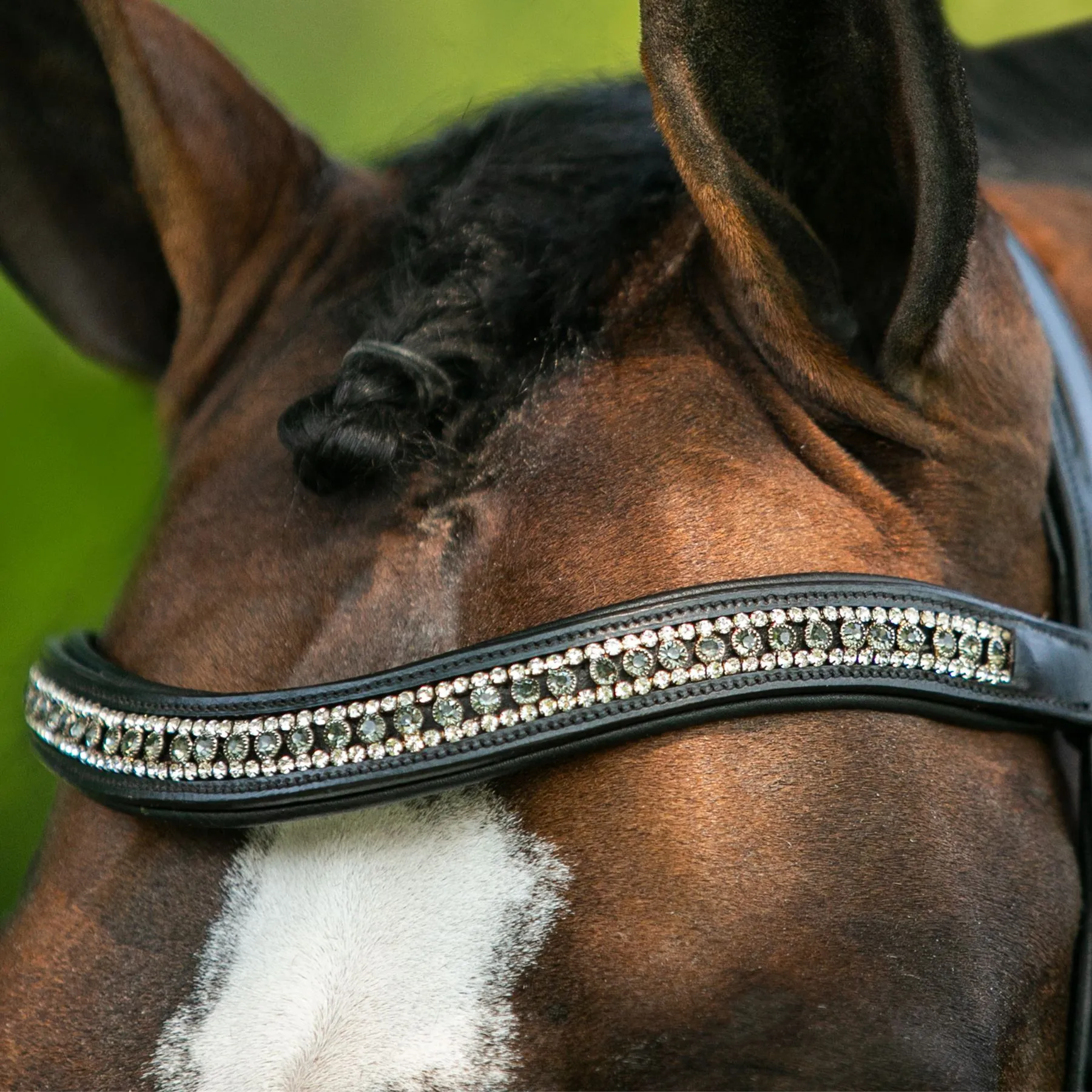 Joseph Sterling® Regal Padded Curved Crystal Browband 4 Joseph Sterling® Regal Padded Curved Crystal Browband - Image 2