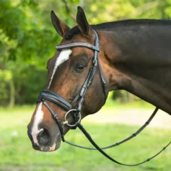 Joseph Sterling® Regal Padded Curved Crystal Browband 9 Joseph Sterling® Regal Padded Curved Crystal Browband -Schneiders Shop 41021 alt b