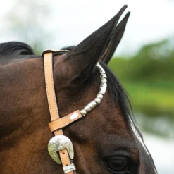 Double S Cody One-Ear Double Ferrule Headstall -Schneiders Shop 41085 alt b