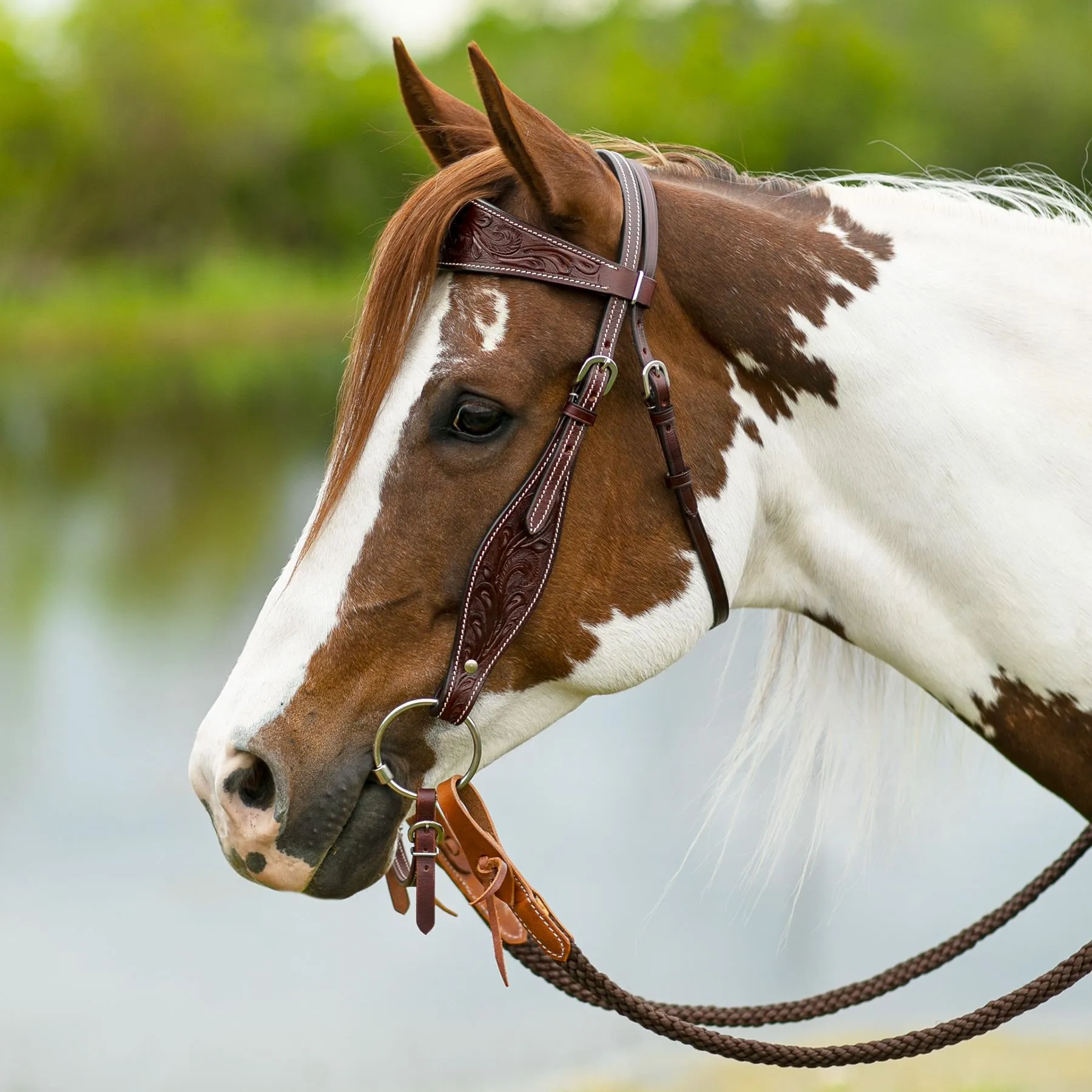 Double S Apache Browband Headstall 3 Double S Apache Browband Headstall