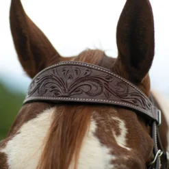 Double S Apache Browband Headstall 15 Double S Apache Browband Headstall -Schneiders Shop 41088 alt b