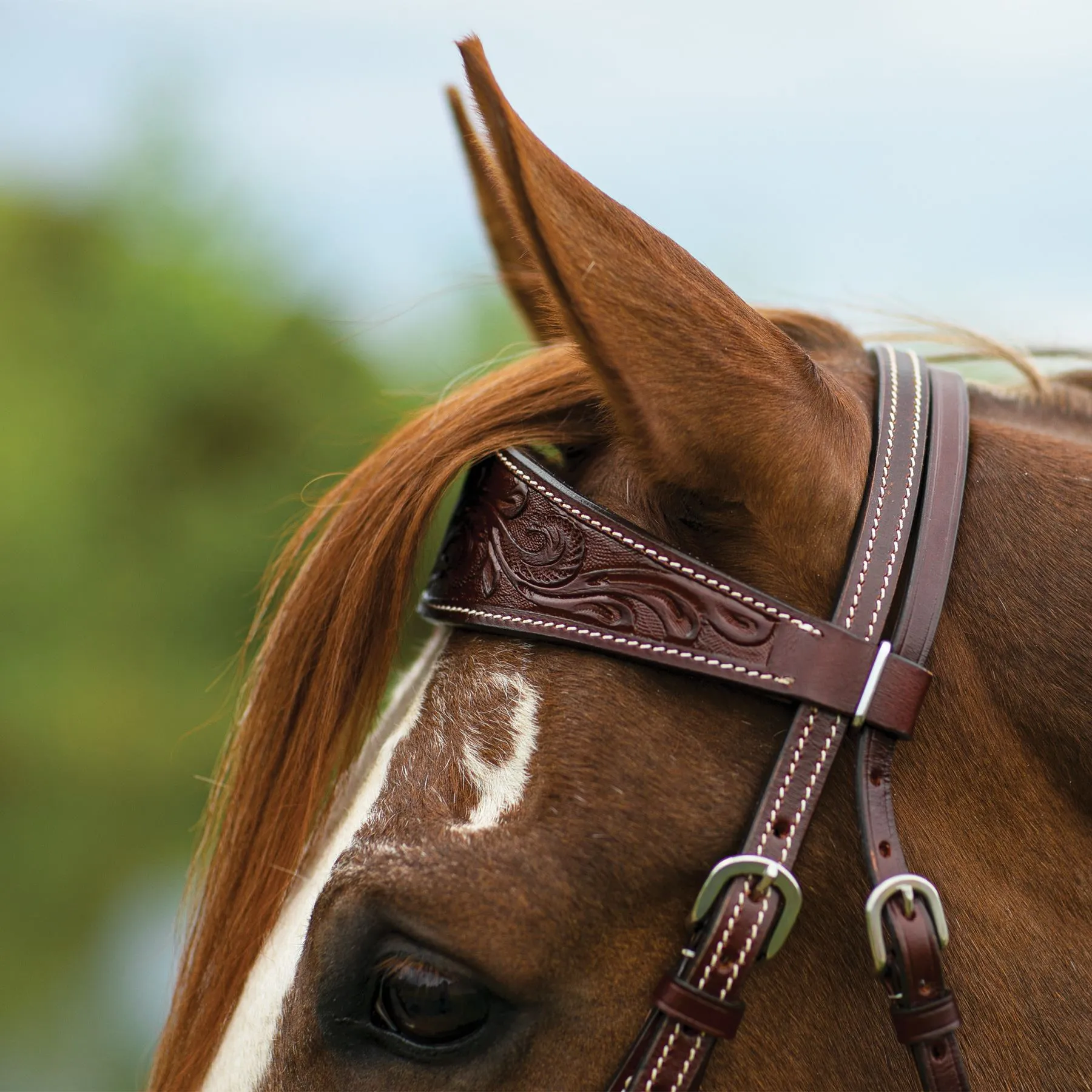Double S Apache Browband Headstall 6 Double S Apache Browband Headstall - Image 4