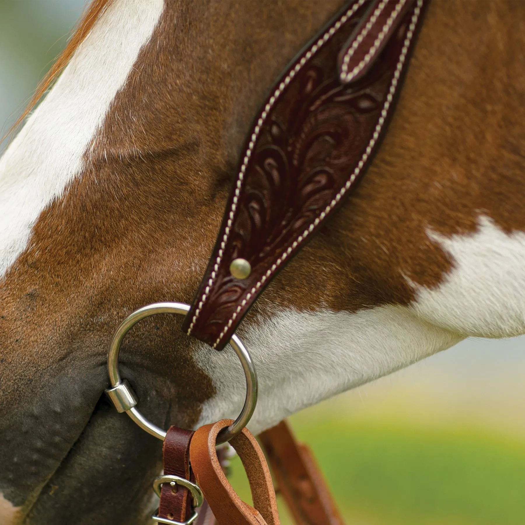 Double S Apache Browband Headstall 7 Double S Apache Browband Headstall - Image 5
