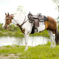 Double S Apache Browband Headstall 20 Double S Apache Browband Headstall -Schneiders Shop 41088 alt g