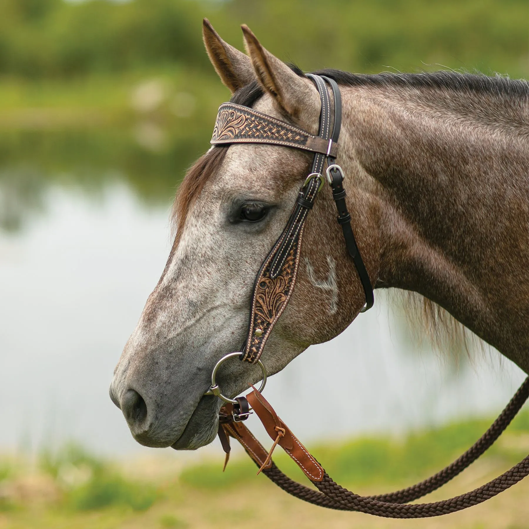 Double S Reno Browband Headstall 3 Double S Reno Browband Headstall