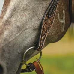 Double S Reno Browband Headstall 14 Double S Reno Browband Headstall -Schneiders Shop 41094 alt b