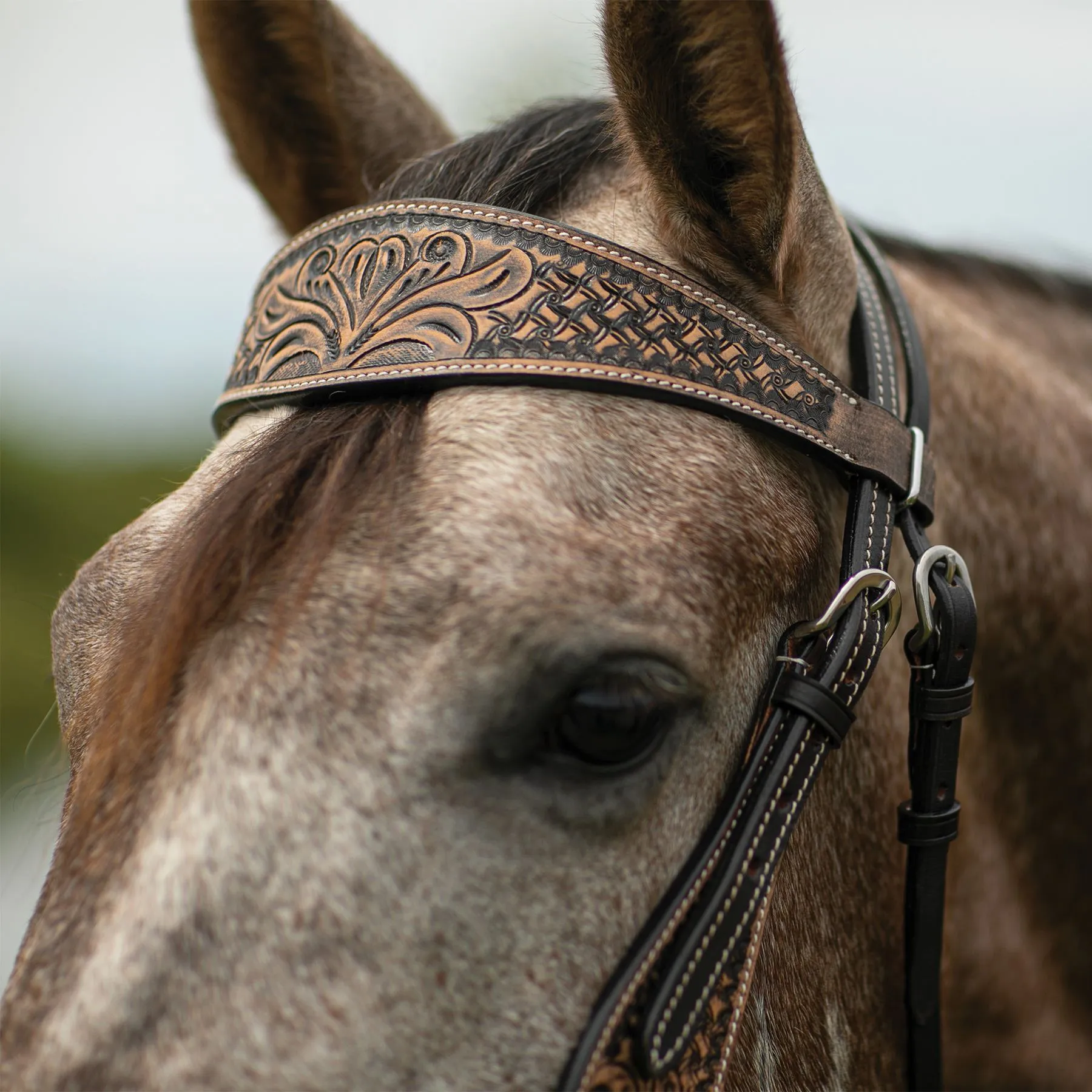 Double S Reno Browband Headstall 6 Double S Reno Browband Headstall - Image 4