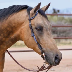 Double S Beaded One Ear Headstall