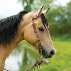 Double S Beaded One Ear Headstall -Schneiders Shop 41110 alt b